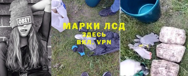apvp Алексин
