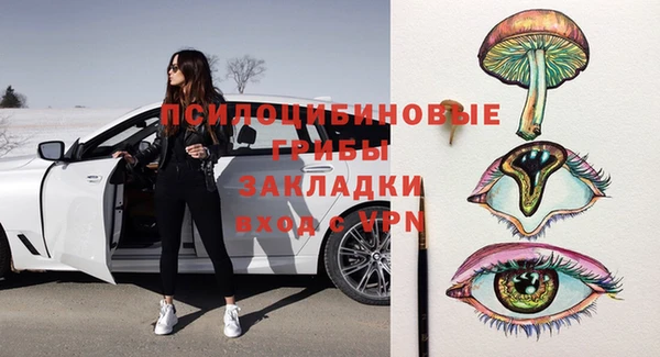 ГАЛЛЮЦИНОГЕННЫЕ ГРИБЫ Алзамай