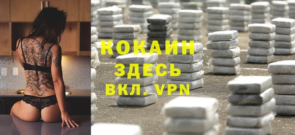 apvp Алексин