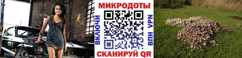 как найти   Сельцо  Галлюциногенные грибы мухоморы 